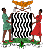 🌍 Zambiya - Görsel 2